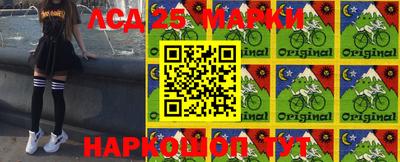 гидра Будённовск