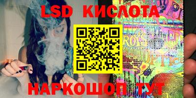 гидра Будённовск