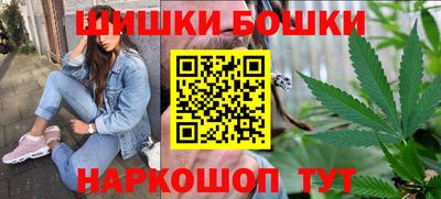 гидра Будённовск