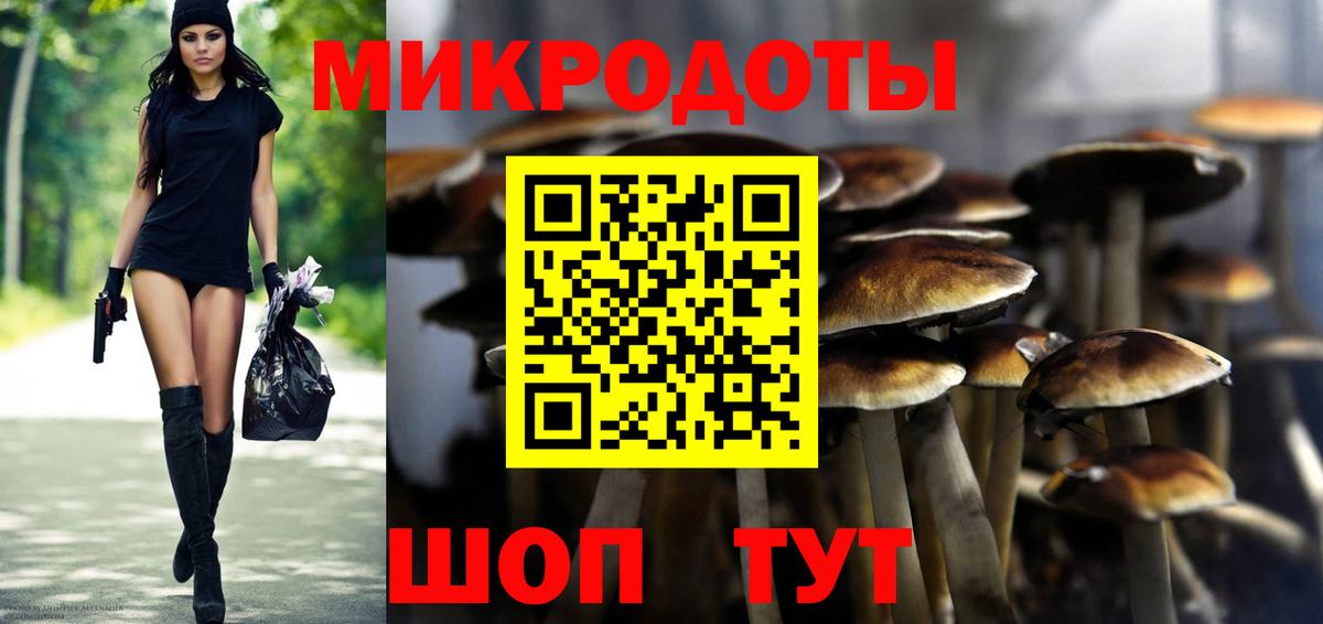 Псилоцибиновые грибы прущие грибы Серов