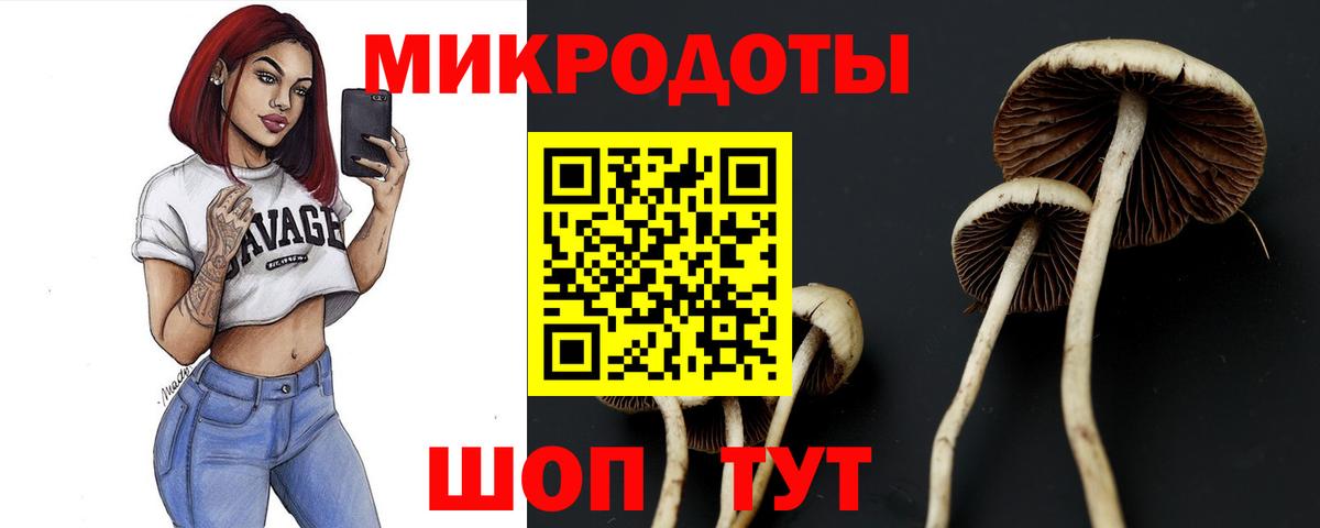 Галлюциногенные грибы Cubensis  что такое наркотик  Серов  Вход с VPN 
